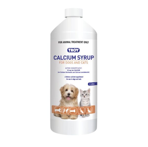 Troy Calcium Syrup