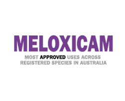 Meloxicam