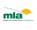 mla